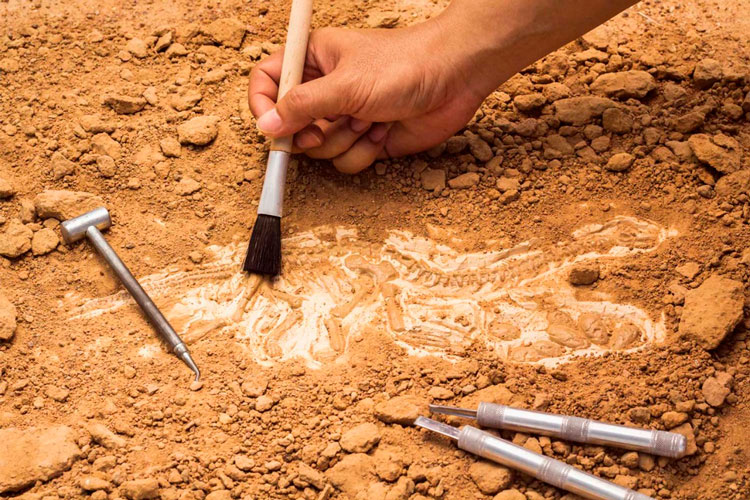 arqueologia.jpg