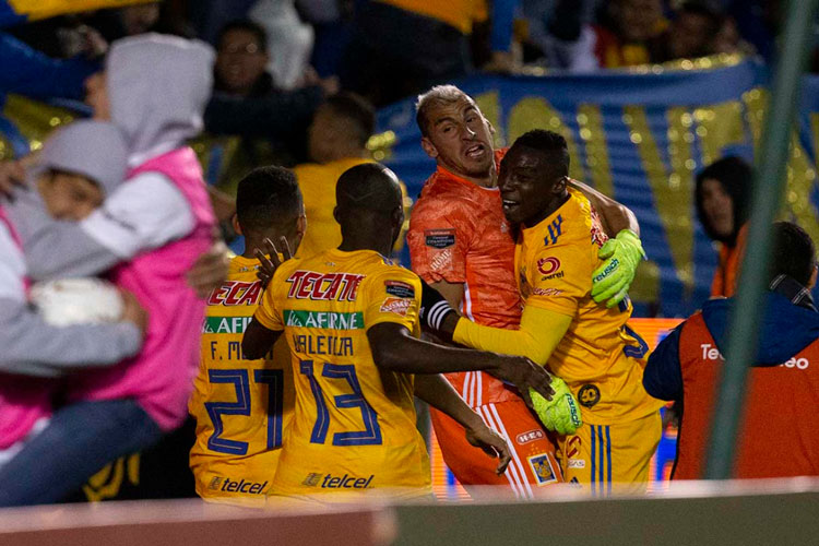 tigres-2.jpg