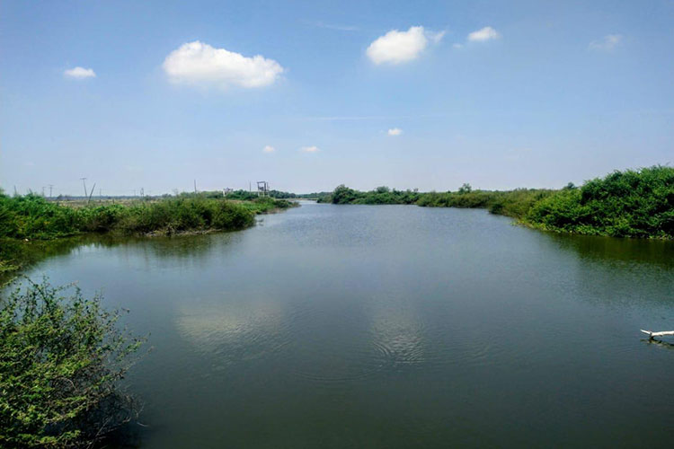 agua-para-campo.jpg