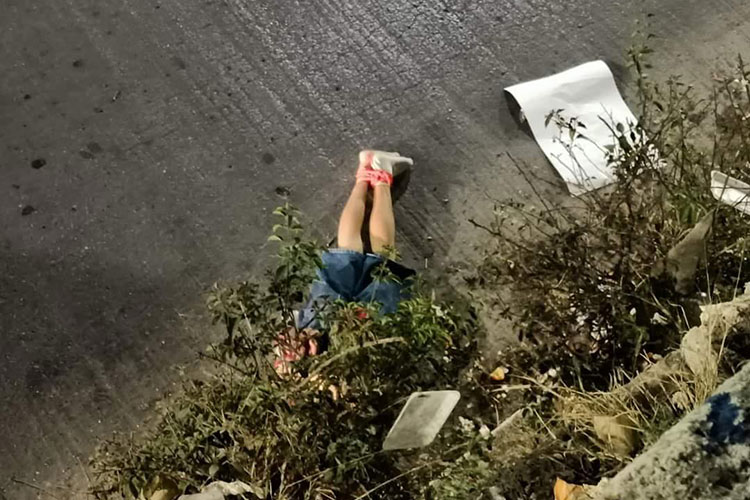 sin-vida-rio.jpg
