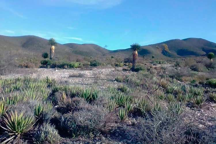 cerro-de-san-pedro.jpg