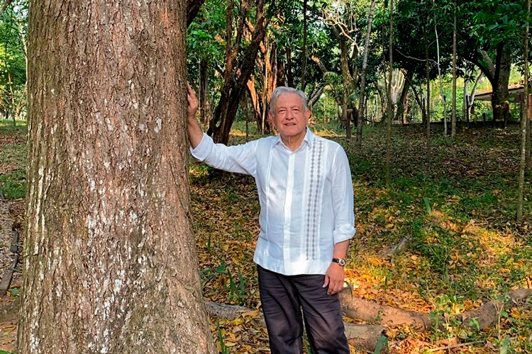 amlo-en-su-finca-de-Palenque-2.jpg
