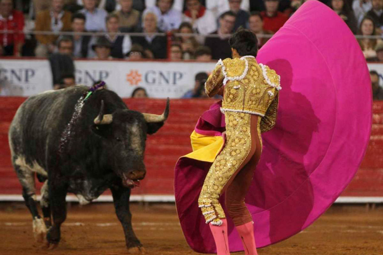 corridas-de-toros-en-CDMX-2.jpg