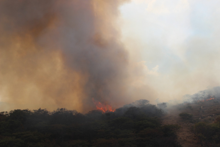 incendio-sierra-de-San-Miguelito.jpg