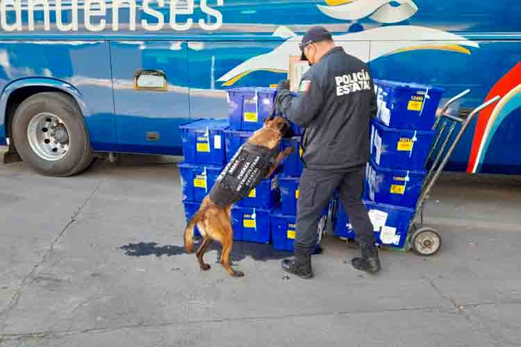 vigilancia-en-central-camioneta.jpg