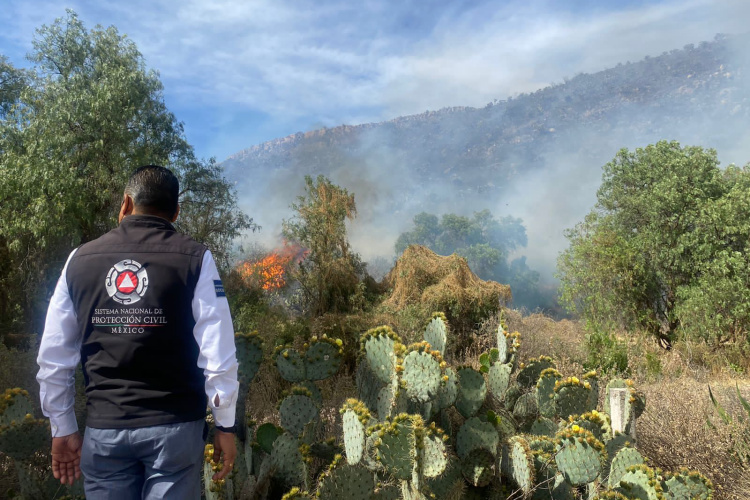incendio-en-Mexquitic.jpg