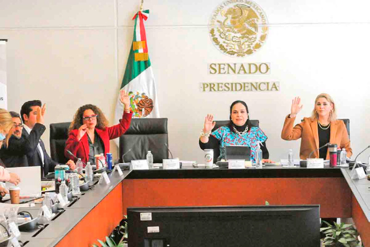 comisiones-senado.jpg