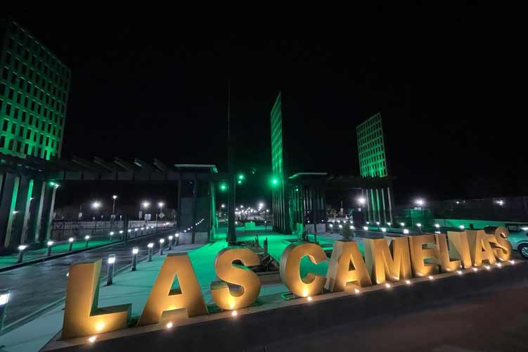 las-camelias.jpg