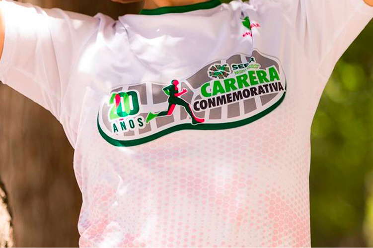 carrera-seer.jpg