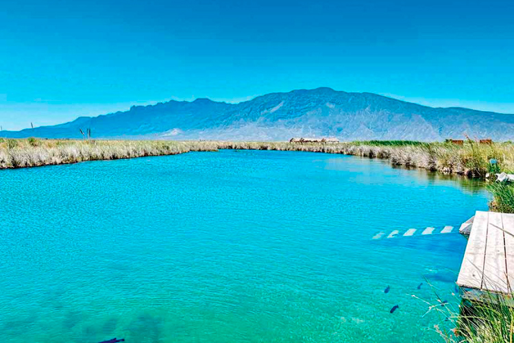 cuatro-cienegas.jpg