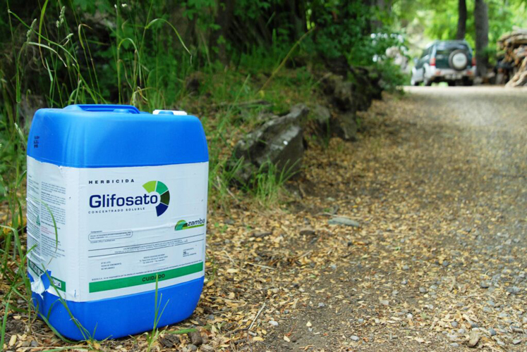glifosato-2.jpg