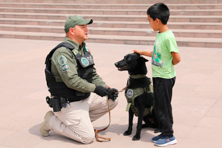 grupo-k9.jpg