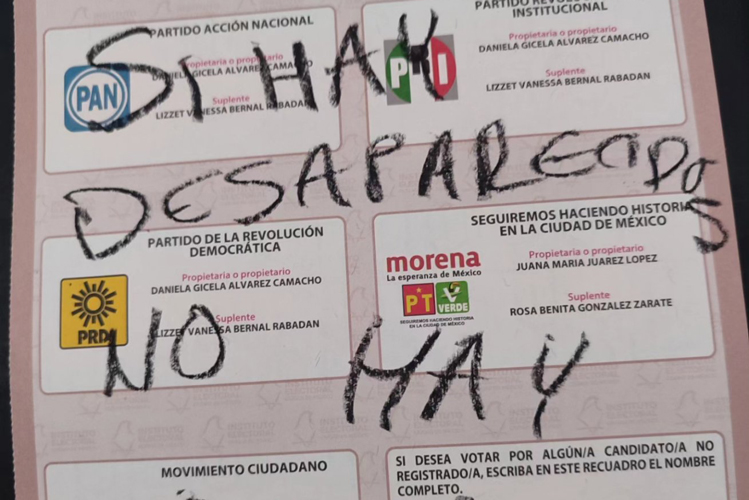 voto-hulo-2.jpg