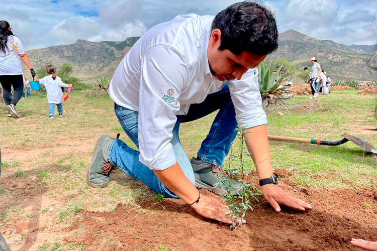 reforestacion-san-miguelito.jpg