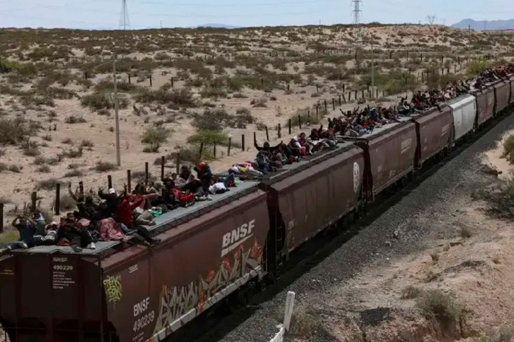 migrantes-en-el-tren.jpg