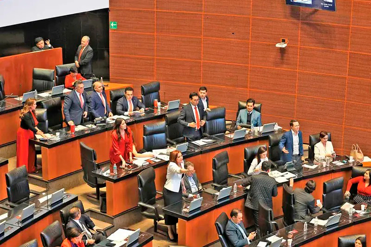 senado-8.jpg