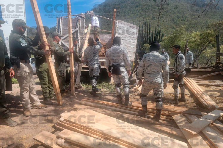 confiscan-madera.jpg