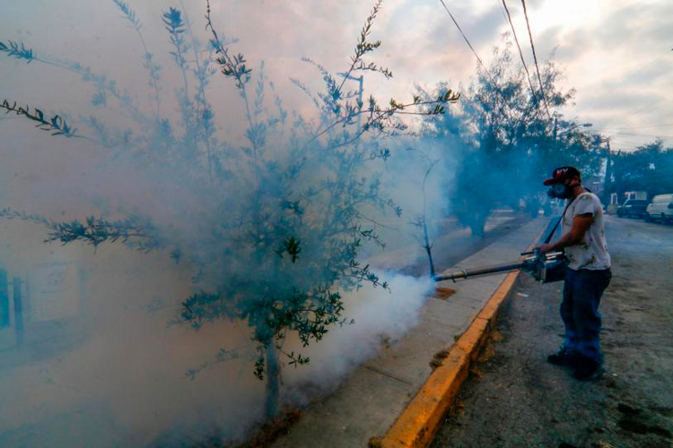fumigacion-dengue.jpg