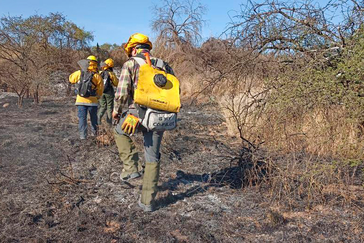 incendio-forestal.jpg