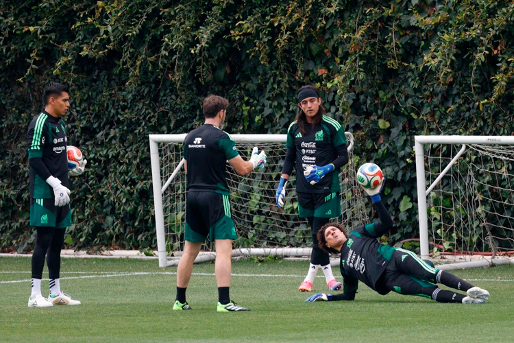 memo-ochoa.jpg
