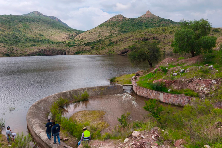 presa.jpg