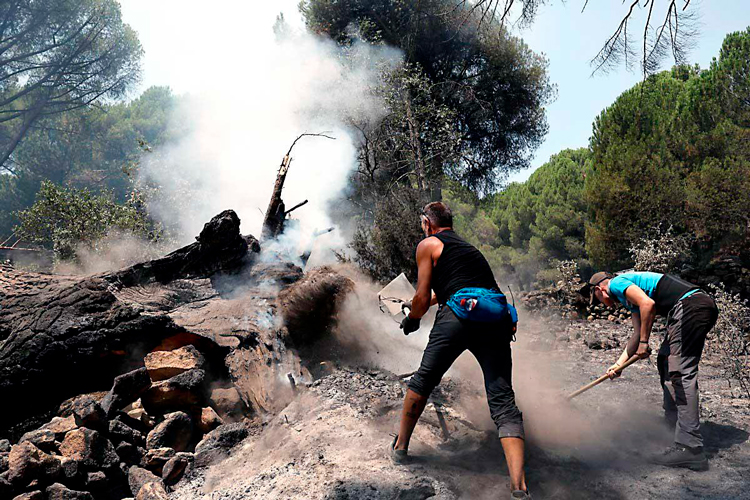 incendio-espana.jpg