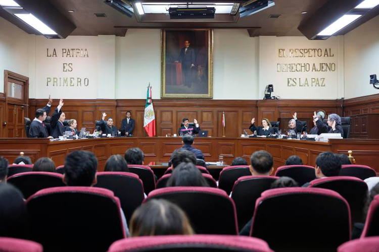 corte.jpg