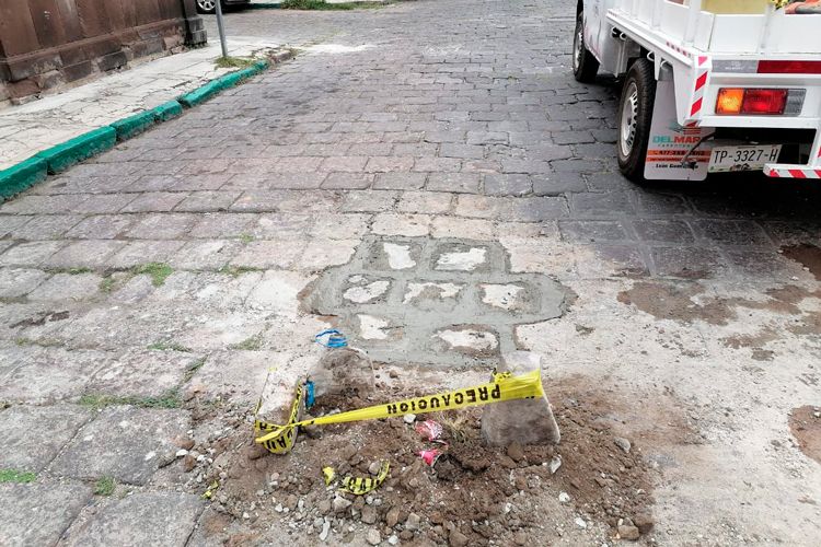 bache.jpg