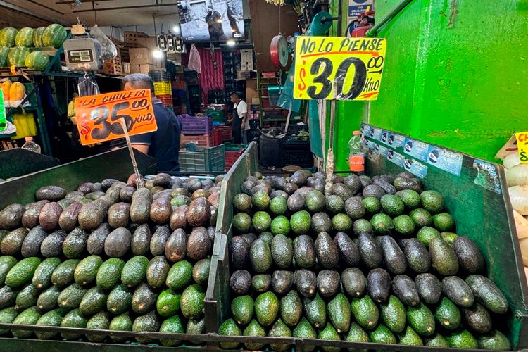 canasta-basica-aguacate.jpg