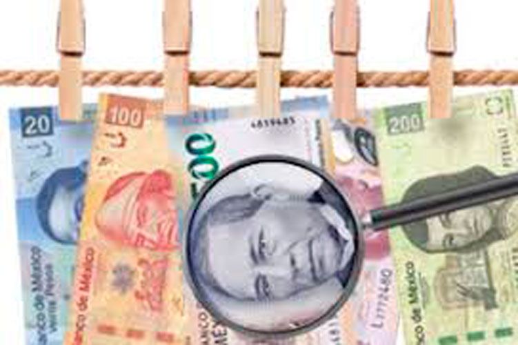 lupa-en-dinero.jpg