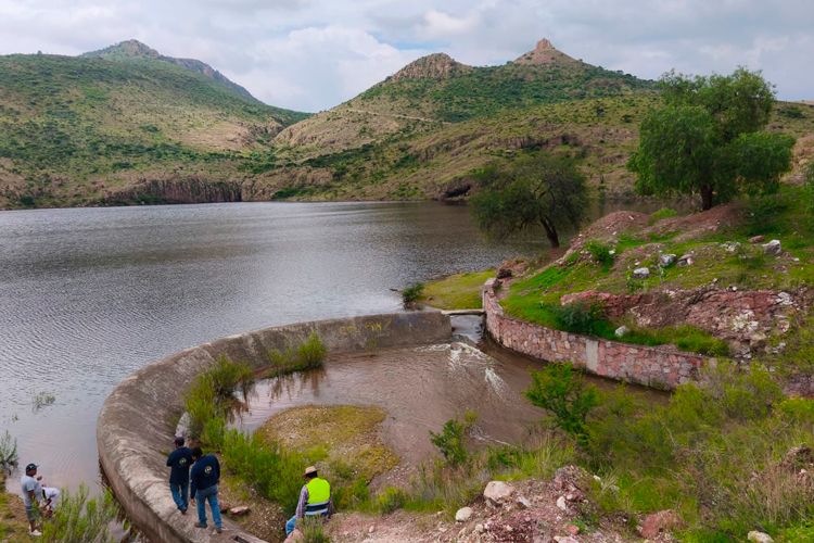 presa.jpg