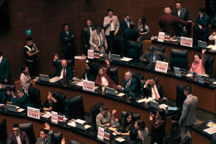 senado-6.jpg
